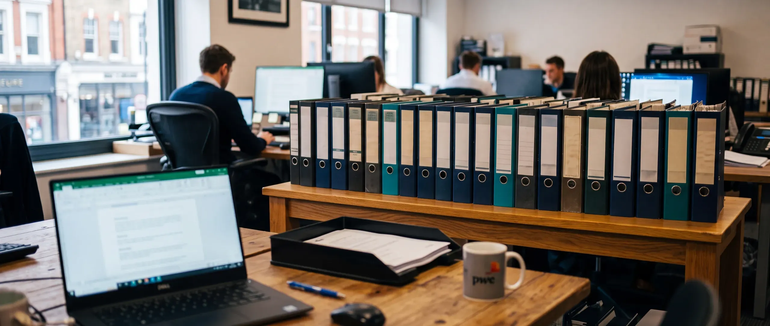 Financial Due Diligence — Oppenheim Advisory fractional finance leadership